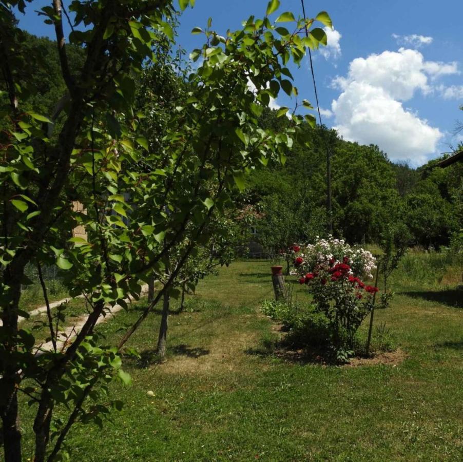 Bihać Omar & Una Apartmani מראה חיצוני תמונה